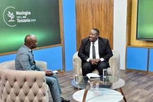 Tanzania to present COP29 project documents worth 1 billion dollars